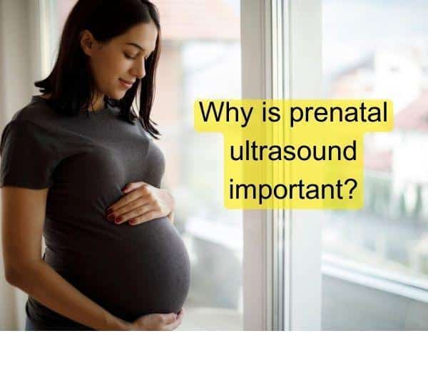 Why is prenatal ultrasound important?