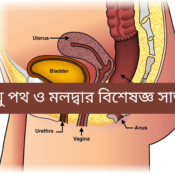 পায়ু পথ ও মলদ্বার বিশেষজ্ঞ সার্জন