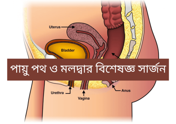 পায়ু পথ ও মলদ্বার বিশেষজ্ঞ সার্জন বগুড়া