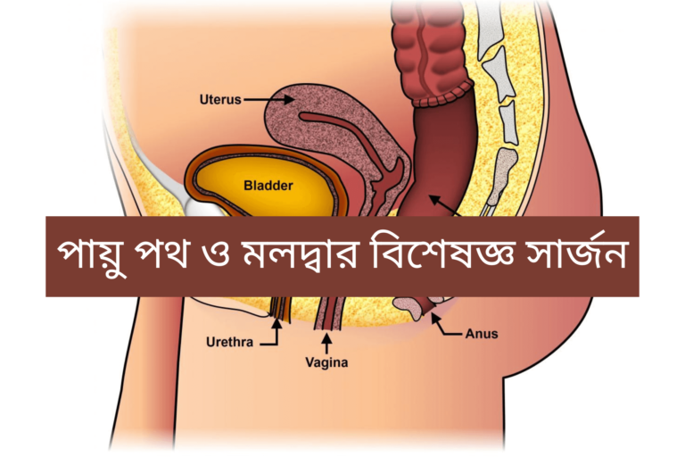 পায়ু পথ ও মলদ্বার বিশেষজ্ঞ সার্জন